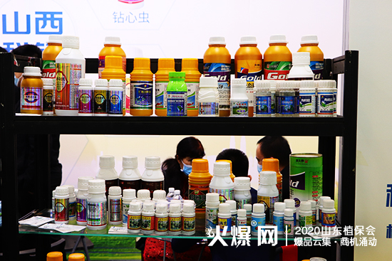 2020ɽ�|��(j��)��ֲ����(hu��)��ɽ�����h�r(n��ng)�I(y��)�F(xi��n)��(ch��ng)��ԃ�������࣡չλ̖(h��o)��WT113��