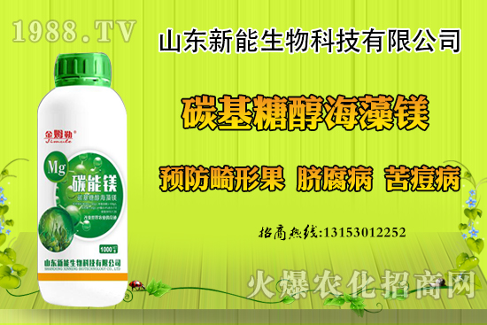 冬季大棚草莓畸形果原因，出現(xiàn)畸形果怎么防治？