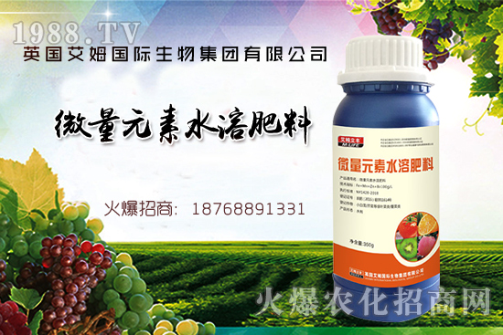 鐵、鋅、硼缺失癥狀，怎么補充作物所需元素？