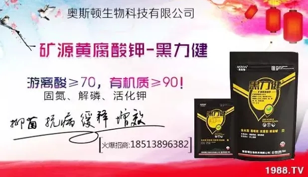 大蒜什么時間播種？注意事項有哪些？各地大蒜種植時間表！