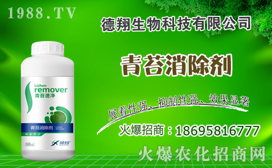 油菜什么時間種植，油菜種植方法是什么？有哪些注意事項？