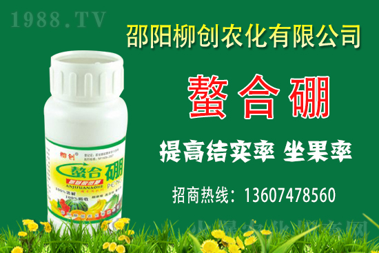 2020年11月16日黑龍江新季大豆價格行情