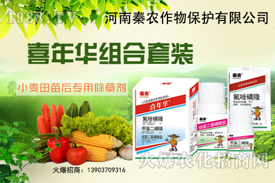 小麥為什么要冬前除草？選什么除草劑效果好？