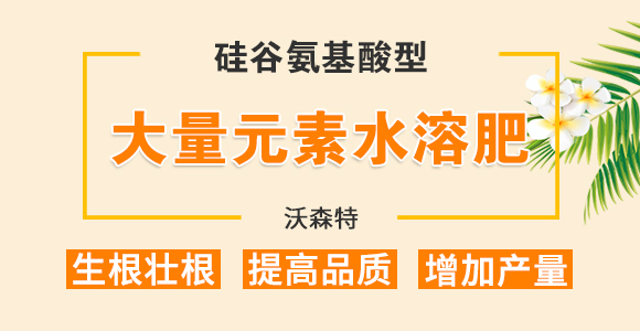 硅谷氨基酸型大量元素水溶肥料12-42-10+TE-沃森特_01