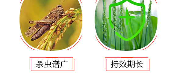 滬聯(lián)焚甲組合裝-滬聯(lián)_06