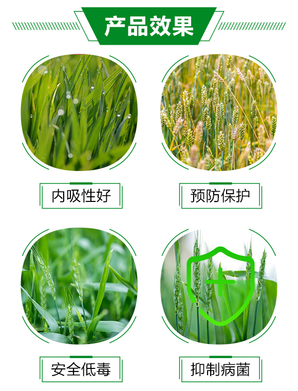 40%苯醚甲環(huán)唑（100克）-奕彩-泰禾化工_03