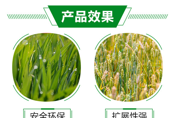 農(nóng)用有機(jī)硅助劑-速展（瓶裝）-愛農(nóng)斯達(dá)_05