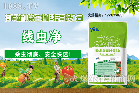 多肉植物該怎么澆水？多肉植物澆水要注意哪些問題呢？