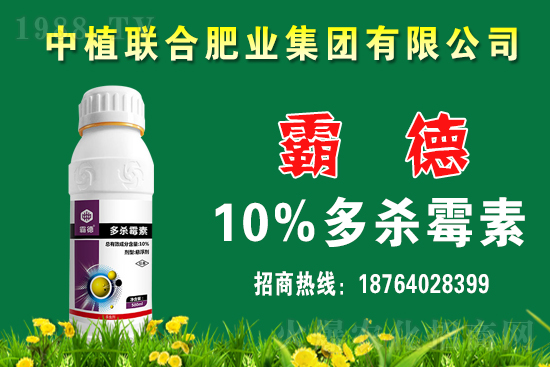 今日小麥價(jià)格行情如何?春節(jié)前小麥價(jià)格還會(huì)上漲嗎?