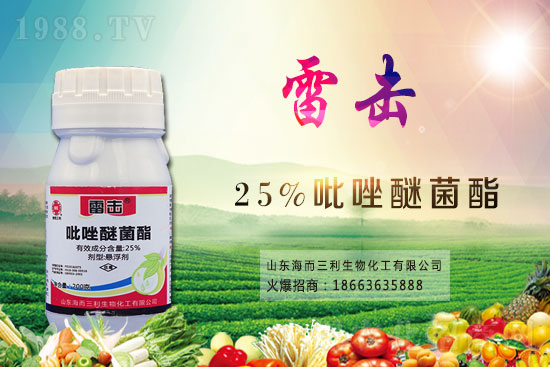 魔芋價(jià)格多少錢一斤?2021年魔芋種植前景如何?