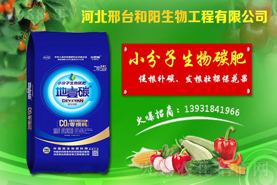 春節(jié)前小麥價(jià)格會(huì)不會(huì)漲？今日小麥價(jià)格行情！