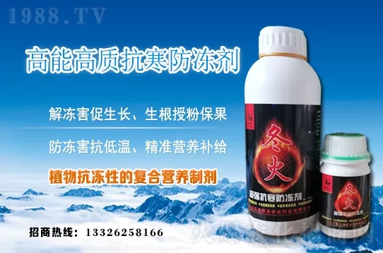 早春韭菜如何施肥？韭菜施肥方法和注意事項(xiàng)！