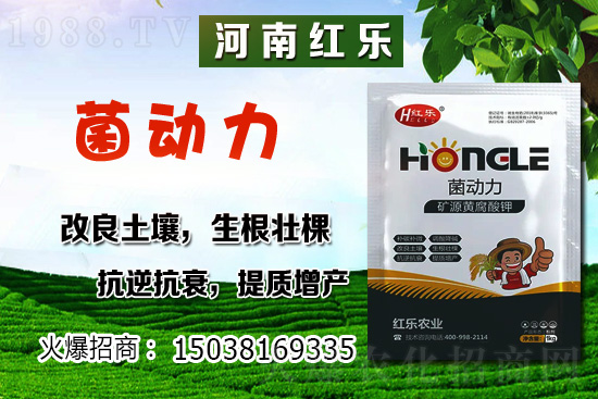 12�·��ܷNʲô�߲��������߲˷Nֲ����Щ���ɣ�