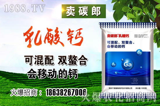 ���������^����С���r�����w��λڅ��(w��n)��