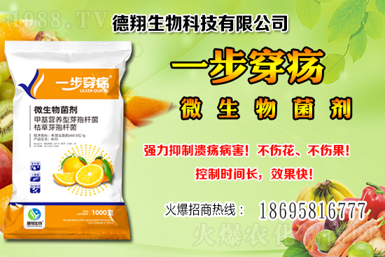 國產(chǎn)大豆價(jià)格穩(wěn)中有跌！2020-12-21黑龍江及部分地區(qū)大豆行情！