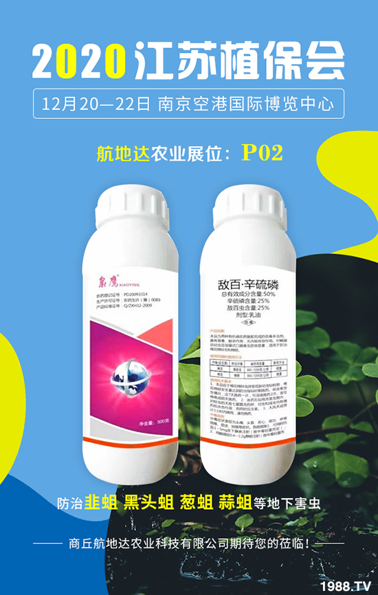 2020���Kֲ�����������_�r(n��ng)�I(y��)�����������@ϲ���������u�B�B��