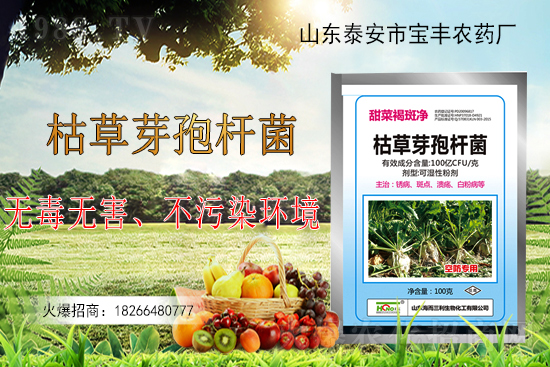 枯草芽孢桿菌能解決作物哪些問題？枯草芽孢桿菌在農(nóng)作物上的應(yīng)用！