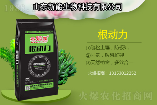 作物根部病害多原因在哪？解決病害生根措施怎么做？