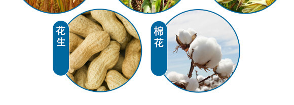 美果膨果型有機水溶肥料-一畫農(nóng)業(yè)_09