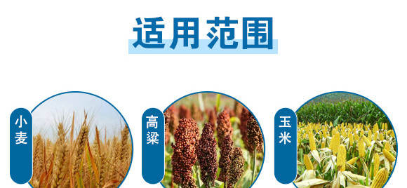 美果膨果型有機水溶肥料-一畫農(nóng)業(yè)_08