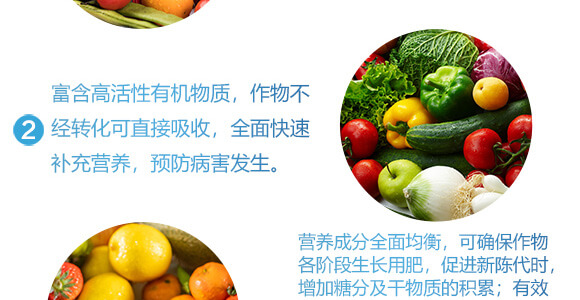 美果膨果型有機水溶肥料-一畫農(nóng)業(yè)_06