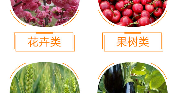 有機水溶肥料-多肽氮肥-一畫農(nóng)業(yè)_10