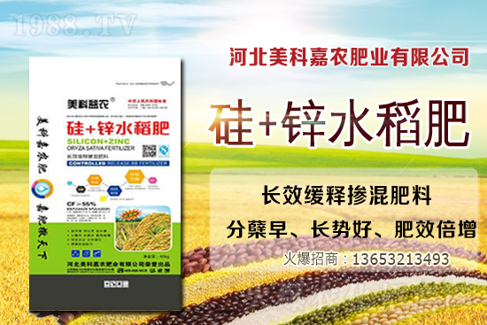 大豆價格繼續(xù)上漲(附今日大豆價格)