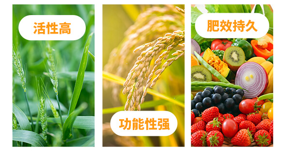 膨元帥-喜農(nóng)緣-歐曼森_04