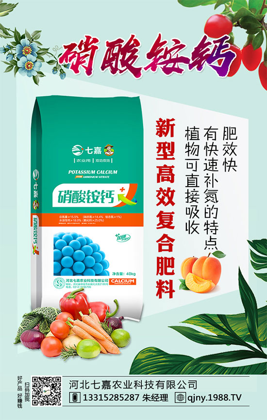 春季辣椒育苗需注意哪些事項(xiàng)？辣椒種植栽培技術(shù)！