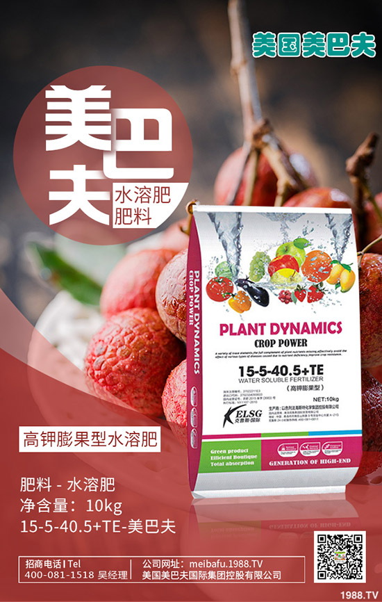     冬小麥進入三月如何管理？小麥管理重點及注意事項！