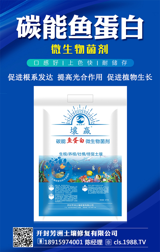 豆角種植時(shí)間，豆角生長過程的管理要點(diǎn)！