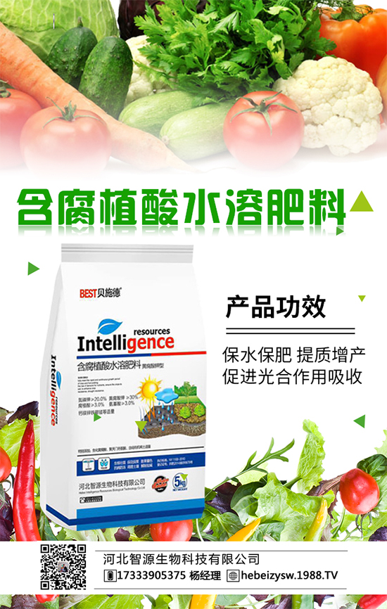 �����Nֲ����ʩʲô�ʺ�����