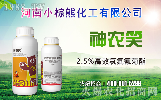 С���ܻ����ɹ����s1988.TV���y�ֹ���(chu��ng)��(zh��n)��(j��)��