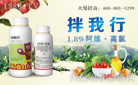 С���ܻ����ɹ����s1988.TV���y�ֹ���(chu��ng)��(zh��n)��(j��)��