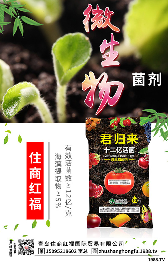 番茄肥害的典型癥狀有哪些，番茄發(fā)生肥害怎么辦？