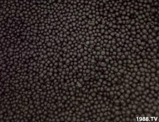 復(fù)合微生物菌劑（藍）-地康欣