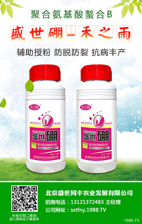 如何促進(jìn)西瓜種子發(fā)芽?西瓜種子發(fā)芽要注意哪些問題