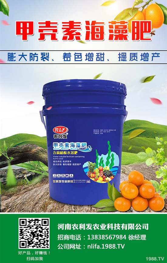 種植白術(shù)掙錢(qián)嗎？2020白術(shù)種植前景及效益分析