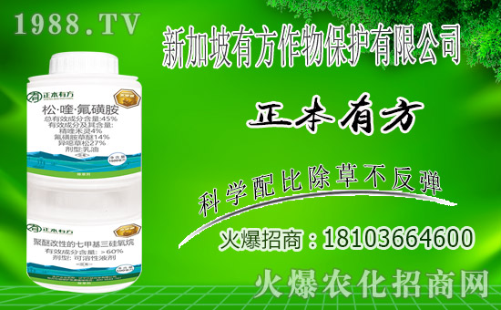 ��ռ�̙C���������A���¼����з����ﱣ�o���v1988.TV��