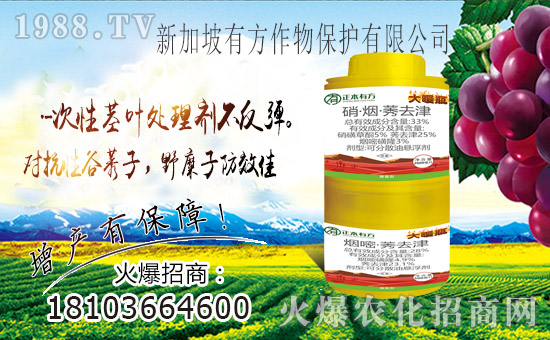 ��ռ�̙C���������A���¼����з����ﱣ�o���v1988.TV��