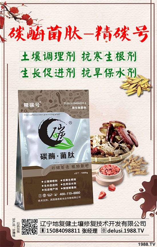 天麻是我國(guó)一味傳統(tǒng)中藥材,做藥用已有一千多年的歷史,一般用以頭暈?zāi)垦!⒅w麻木、小兒驚風(fēng)等癥,釀成的養(yǎng)生酒有除百病、益壽延年的功效。那么,種植天麻能掙錢嗎?2020年天麻的種植前景如何?