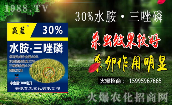 �r(n��ng)���W(w��ng)ϲӭ���������K���r(n��ng)���ɹ����s1988.TV��