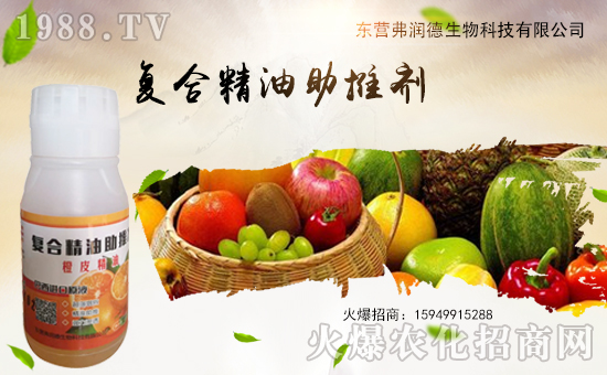     ����(r��n)������ɹ����v1988.TV�����\�����°l(f��)չ��