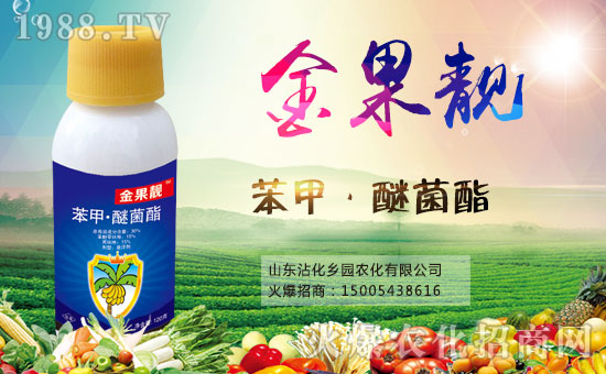 �r(n��ng)���W(w��ng)ϲӭ�»�����y���l(xi��ng)�@�r(n��ng)������ؔ��֮·��