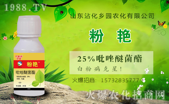 �r(n��ng)���W(w��ng)ϲӭ�»�飬�y���l(xi��ng)�@�r(n��ng)������ؔ��֮·��