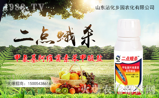 �r(n��ng)���W(w��ng)ϲӭ�»�����y���l(xi��ng)�@�r(n��ng)������ؔ��֮·��