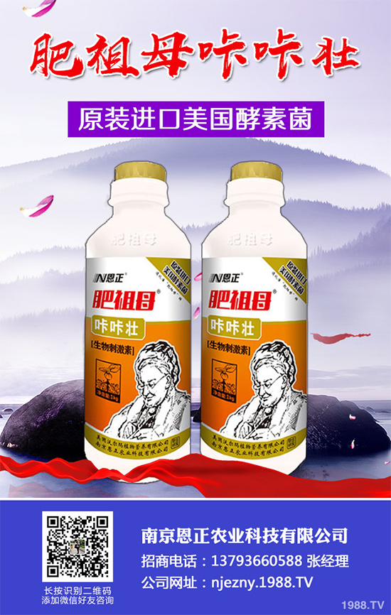 春季花椒樹常見的病蟲害有哪些？該如何防治？花椒病害的發(fā)生與防治