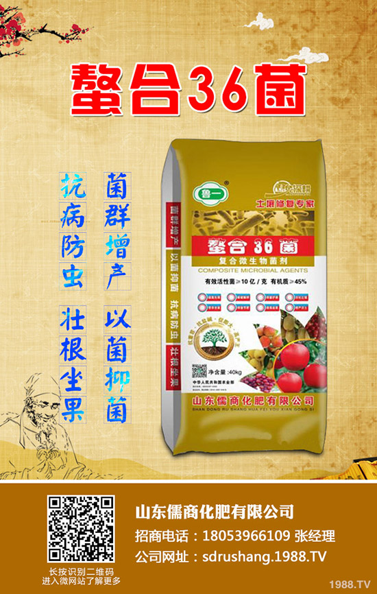 蘋果樹春季管理需要注意的12大誤區(qū)!值得你收藏!