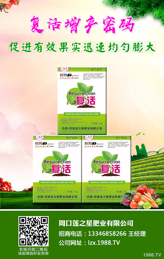 萵苣如何施肥？萵苣用什么肥料好？