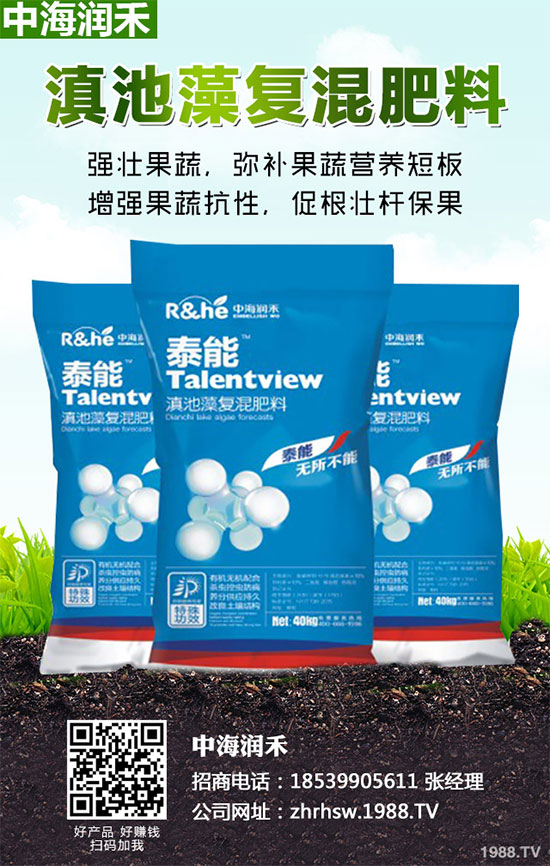 小麥四月份遇到“倒春寒”有多大影響？該如何補(bǔ)救？小麥四月份農(nóng)事指南